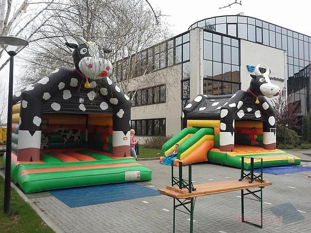 springkussens koe