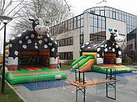 springkussens koe